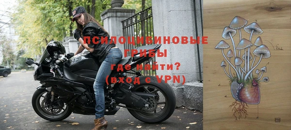 ГАЛЛЮЦИНОГЕННЫЕ ГРИБЫ Дмитровск