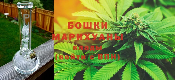 ГАЛЛЮЦИНОГЕННЫЕ ГРИБЫ Дмитровск