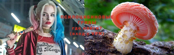 Альфа ПВП Дмитриев
