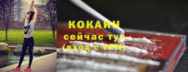 гидра Дмитров
