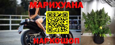крисы Тара