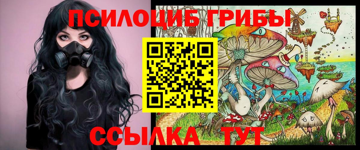 Магадан  Псилоцибиновые грибы Psilocybe  Псилоцибиновые грибы прущие грибы  закладка  Вход с VPN 