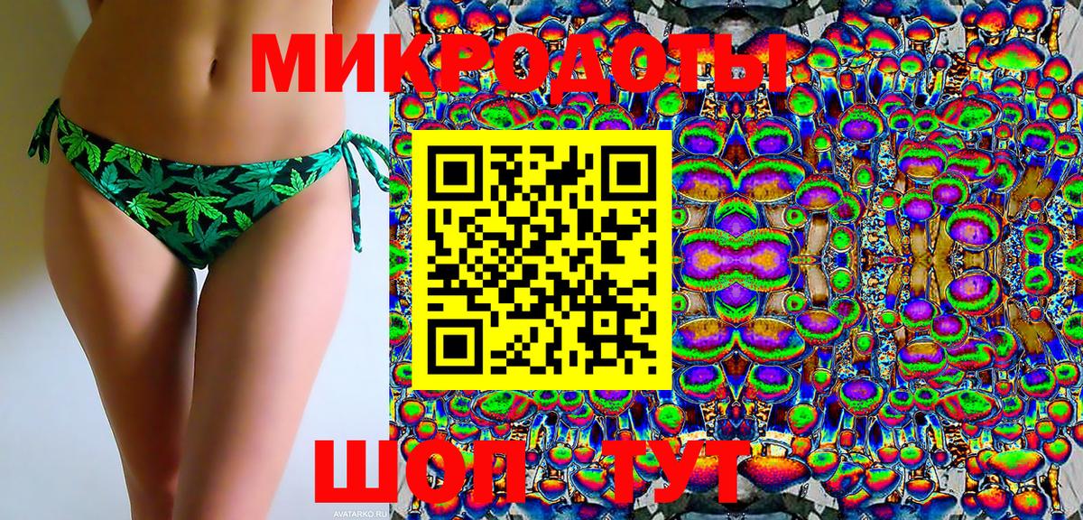Псилоцибиновые грибы Psilocybe Магадан