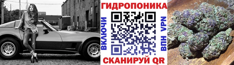 Канабис семена  купить   Магадан 