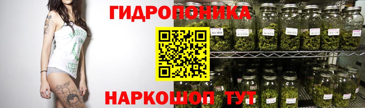 Бошки марихуана конопля Магадан